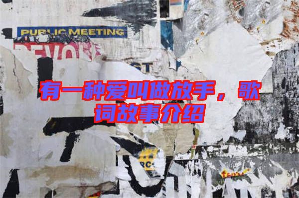有一種愛(ài)叫做放手,歌詞故事介紹