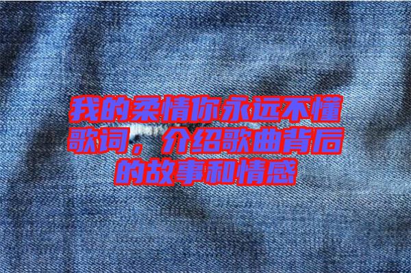 我的柔情你永遠不懂歌詞,介紹歌曲背后的故事和情感