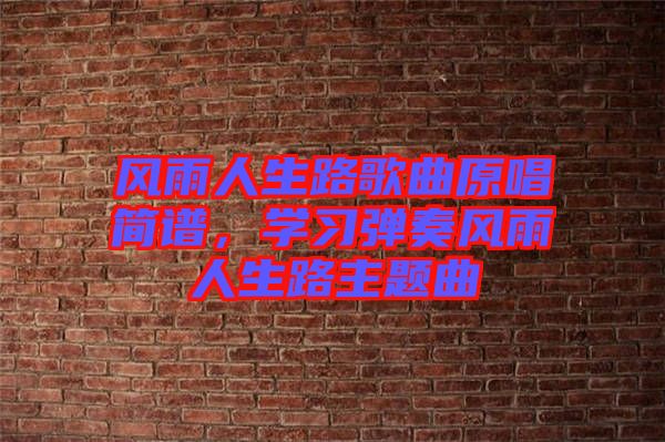 風(fēng)雨人生路歌曲原唱簡譜,學(xué)習(xí)彈奏風(fēng)雨人生路主題曲
