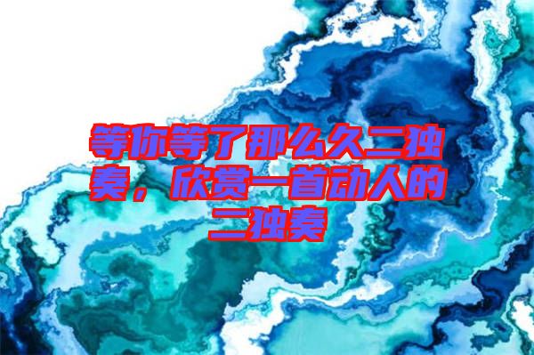 等你等了那么久二獨奏，欣賞一首動人的二獨奏