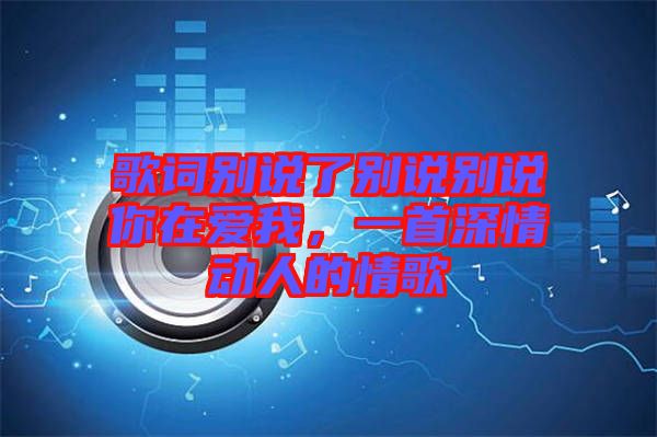 歌詞別說了別說別說你在愛我,一首深情動人的情歌