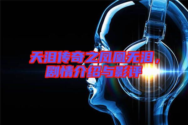 天淚傳奇之鳳凰無淚，劇情介紹與影評