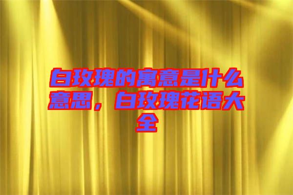 白玫瑰的寓意是什么意思，白玫瑰花語大全