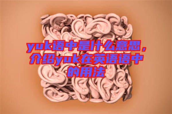 yuk語中是什么意思，介紹yuk在英語語中的用法