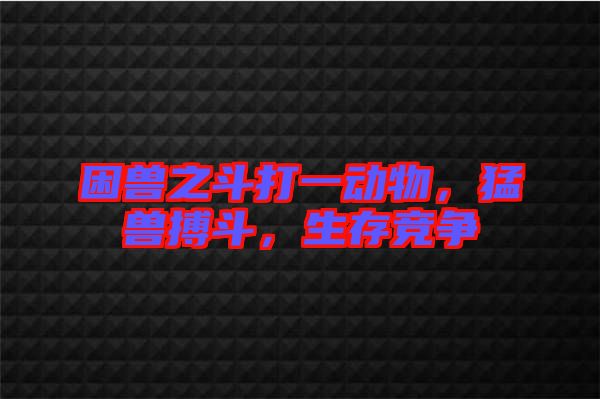 困獸之斗打一動物,猛獸搏斗,生存競爭