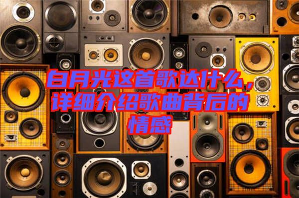 白月光這首歌達什么，詳細介紹歌曲背后的情感