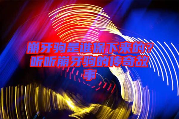 崩牙駒是誰保下來的?聽聽崩牙駒的傳奇故事