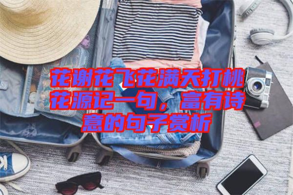 花謝花飛花滿天打桃花源記一句,富有詩意的句子賞析