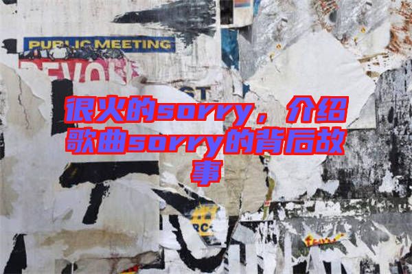 很火的sorry,介紹歌曲sorry的背后故事