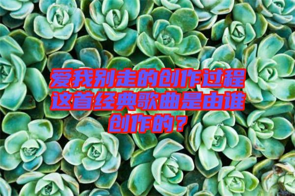 愛我別走的創(chuàng)作過程這首經(jīng)典歌曲是由誰創(chuàng)作的?
