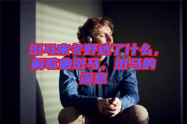 斑馬宋冬野達了什么,解歌曲斑馬,斑馬的深意