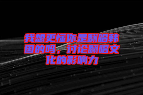 我想更懂你是翻唱韓國的嗎,討論翻唱文化的影響力