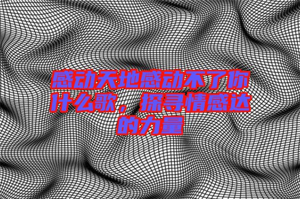 感動天地感動不了你什么歌,探尋情感達的力量