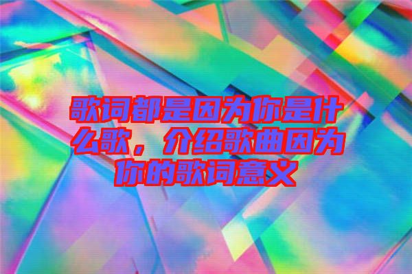 歌詞都是因為你是什么歌,介紹歌曲因為你的歌詞意義