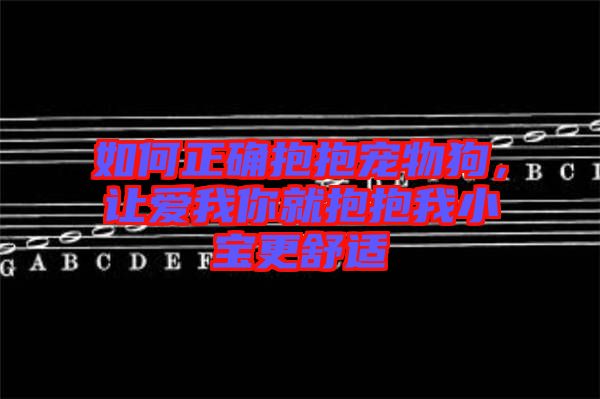 如何正確抱抱寵物狗,讓愛(ài)我你就抱抱我小寶更舒適