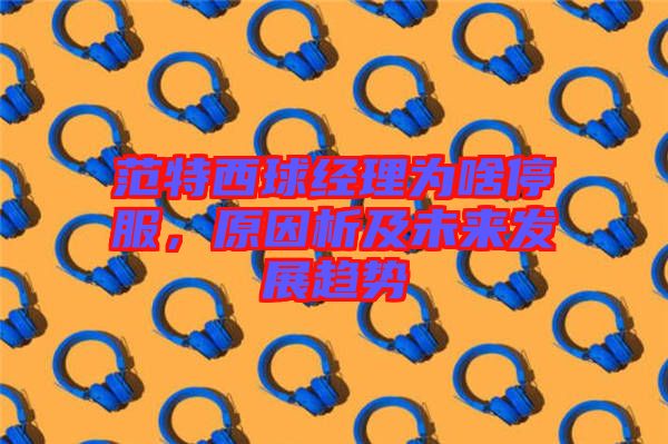 范特西球經(jīng)理為啥停服,原因析及未來發(fā)展趨勢(shì)