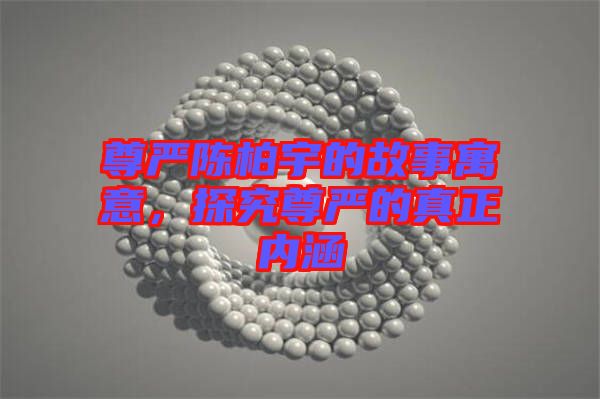 尊嚴(yán)陳柏宇的故事寓意，探究尊嚴(yán)的真正內(nèi)涵