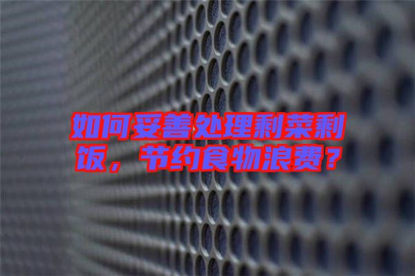 如何妥善處理剩菜剩飯,節(jié)約食物浪費?
