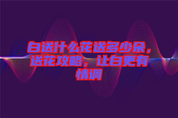 白送什么花送多少朵,送花攻略,讓白更有情調(diào)