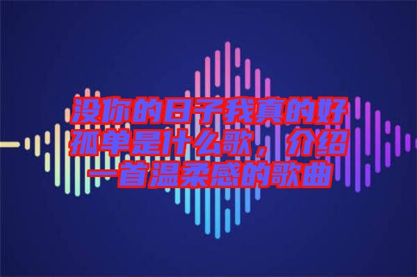 沒你的日子我真的好孤單是什么歌，介紹一首溫柔感的歌曲