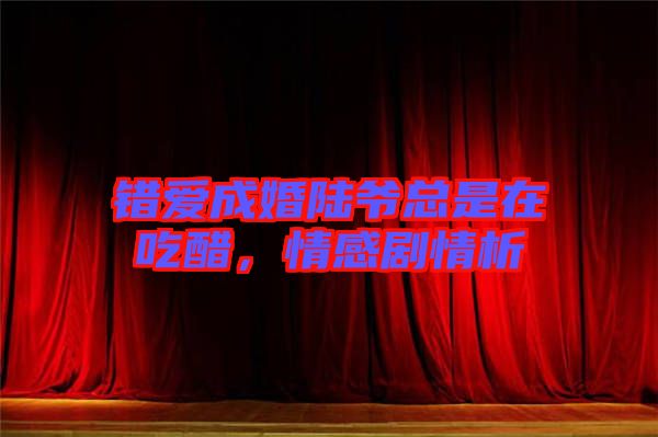 錯愛成婚陸爺總是在吃醋,情感劇情析