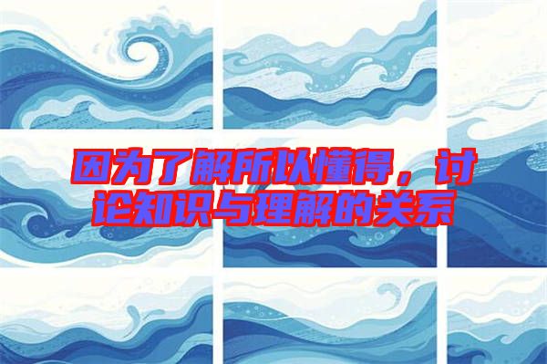 因?yàn)榱私馑远茫懻撝R與理解的關(guān)系