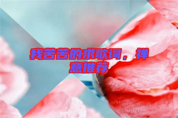 我苦苦的求歌詞,禪意推薦
