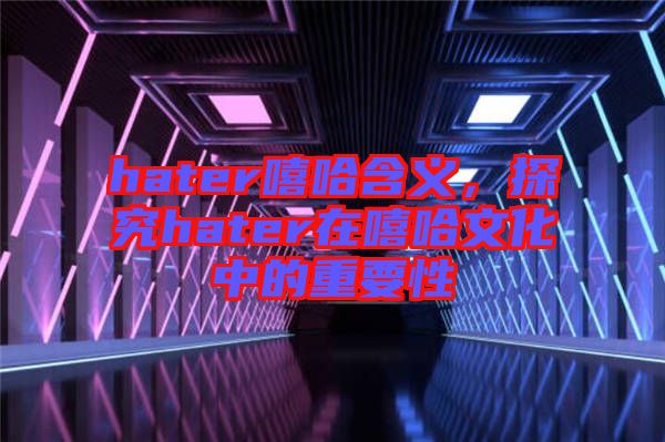 hater嘻哈含義，探究hater在嘻哈文化中的重要性