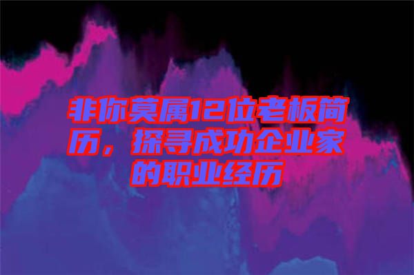 非你莫屬12位老板簡歷,探尋成功企業家的職業經歷