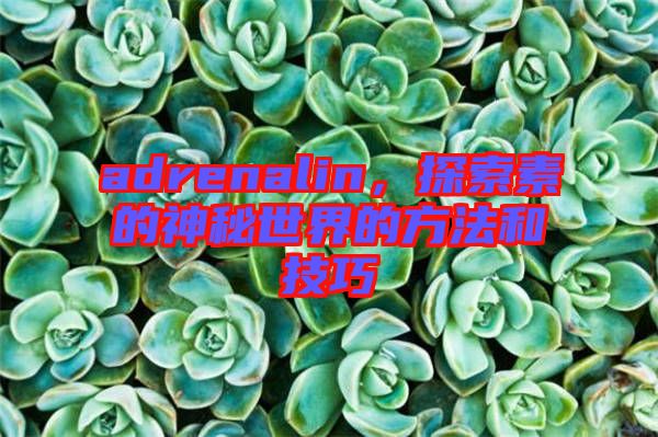 adrenalin,探索素的神秘世界的方法和技巧