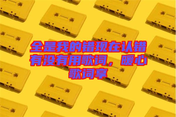 全是我的錯現在認錯有沒有用歌詞，暖心歌詞享