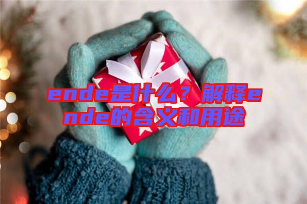 ende是什么?解釋ende的含義和用途