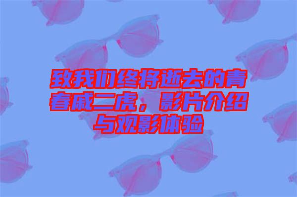 致我們終將逝去的青春戚二虎,影片介紹與觀影體驗