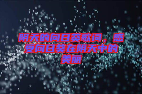 陰天的向日葵歌詞,感受向日葵在陰天中的美麗