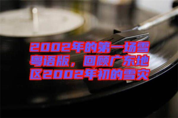 2002年的第一場雪粵語版,回顧廣東地區(qū)2002年初的雪災(zāi)