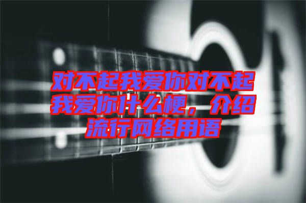 對不起我愛你對不起我愛你什么梗,介紹流行網絡用語