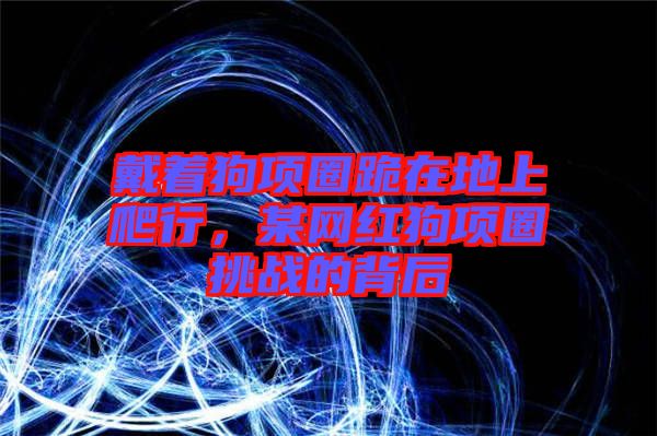 戴著狗項圈跪在地上爬行,某網紅狗項圈挑戰的背后