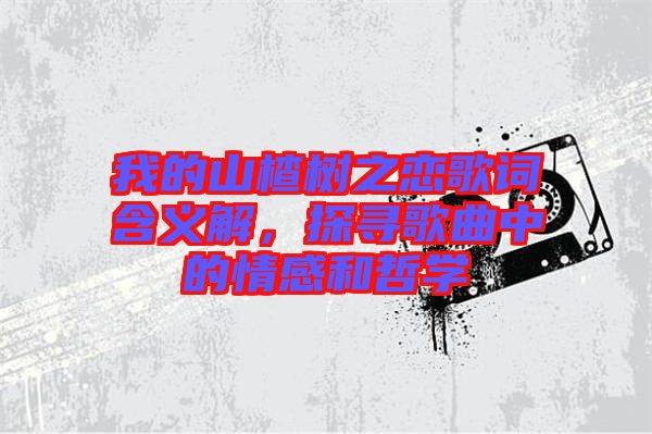 我的山楂樹之戀歌詞含義解,探尋歌曲中的情感和哲學