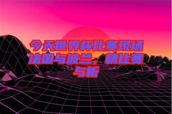 今天世界杯比賽現場法國與波蘭，精比賽與析