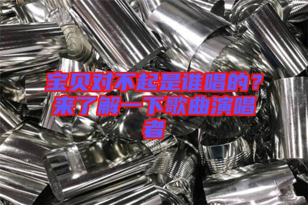 寶貝對不起是誰唱的?來了解一下歌曲演唱者