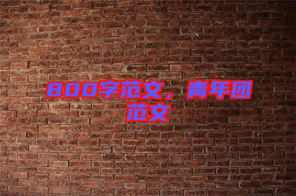 800字范文,青年團(tuán)范文