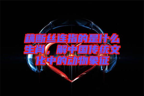 藕斷絲連指的是什么生肖,解中國傳統文化中的動物象征