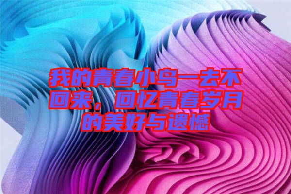 我的青春小鳥一去不回來,回憶青春歲月的美好與遺憾