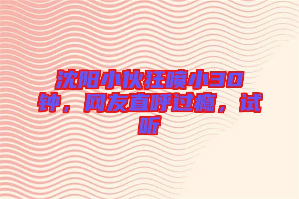 沈陽小伙狂噴小30鐘，網友直呼過癮，試聽