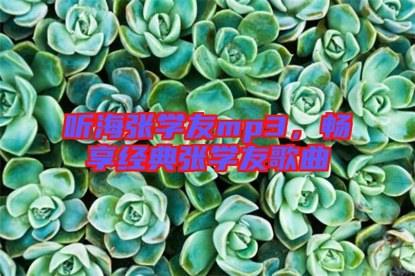 聽海張學友mp3,暢享經典張學友歌曲