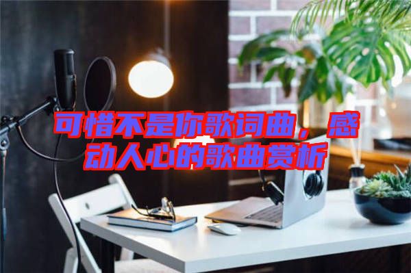 可惜不是你歌詞曲,感動(dòng)人心的歌曲賞析