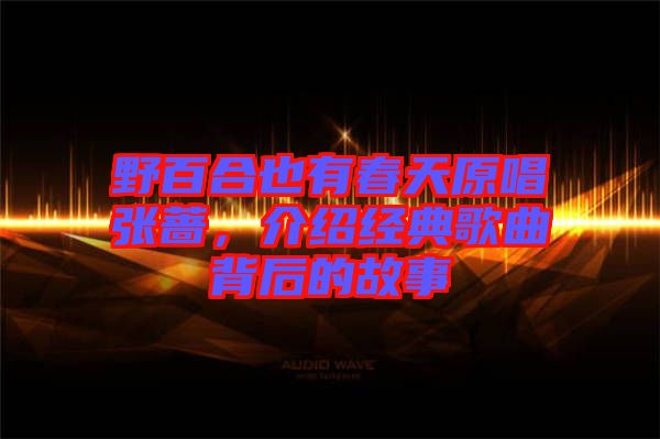 野百合也有春天原唱張薔,介紹經典歌曲背后的故事
