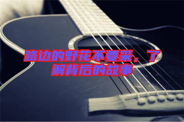 路邊的野花不要采,了解背后的故事