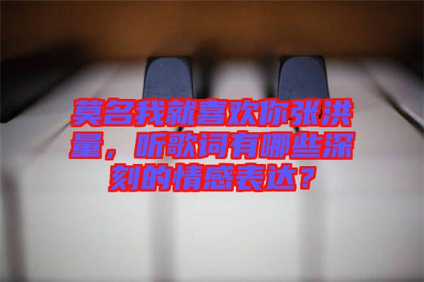 莫名我就喜歡你張洪量，聽(tīng)歌詞有哪些深刻的情感表達(dá)？