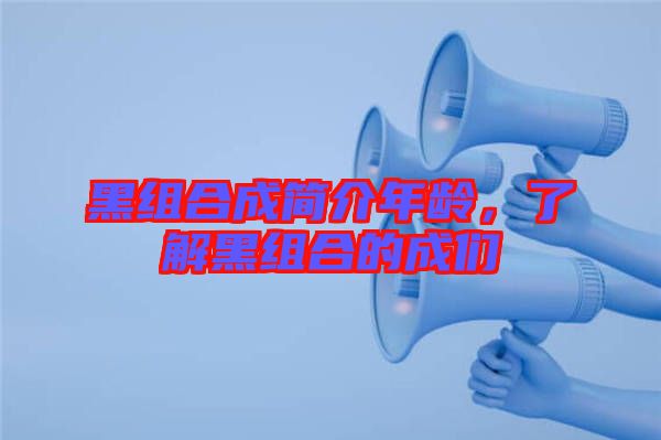 黑組合成簡(jiǎn)介年齡,了解黑組合的成們